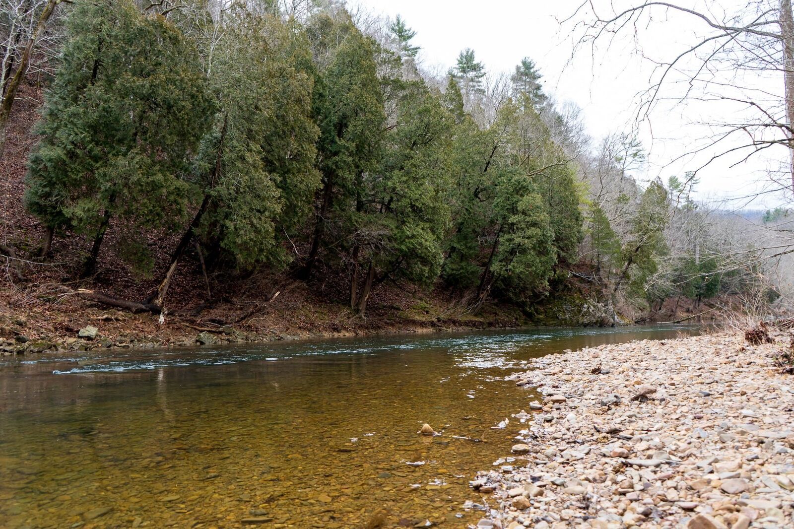 Property Photo: 105 Springdale Road VA 24134