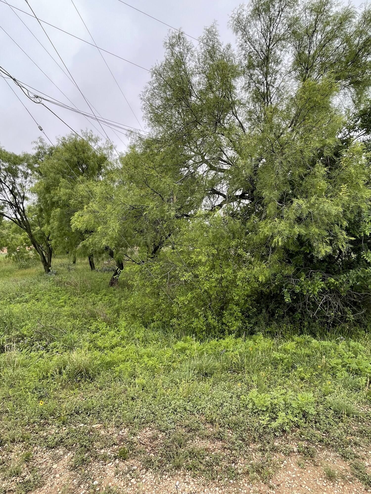 Property Photo:  525 Lake View Heroes Drive  TX 76903 