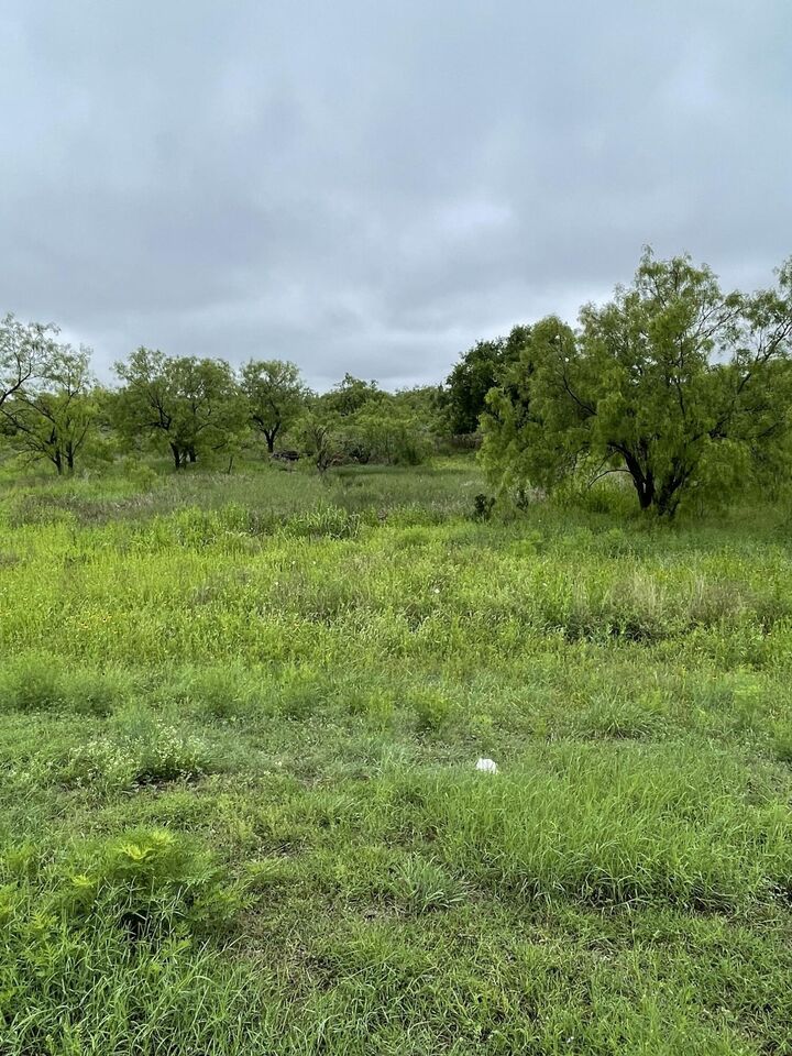 Property Photo:  509 Lake View Heroes Drive  TX 76903 