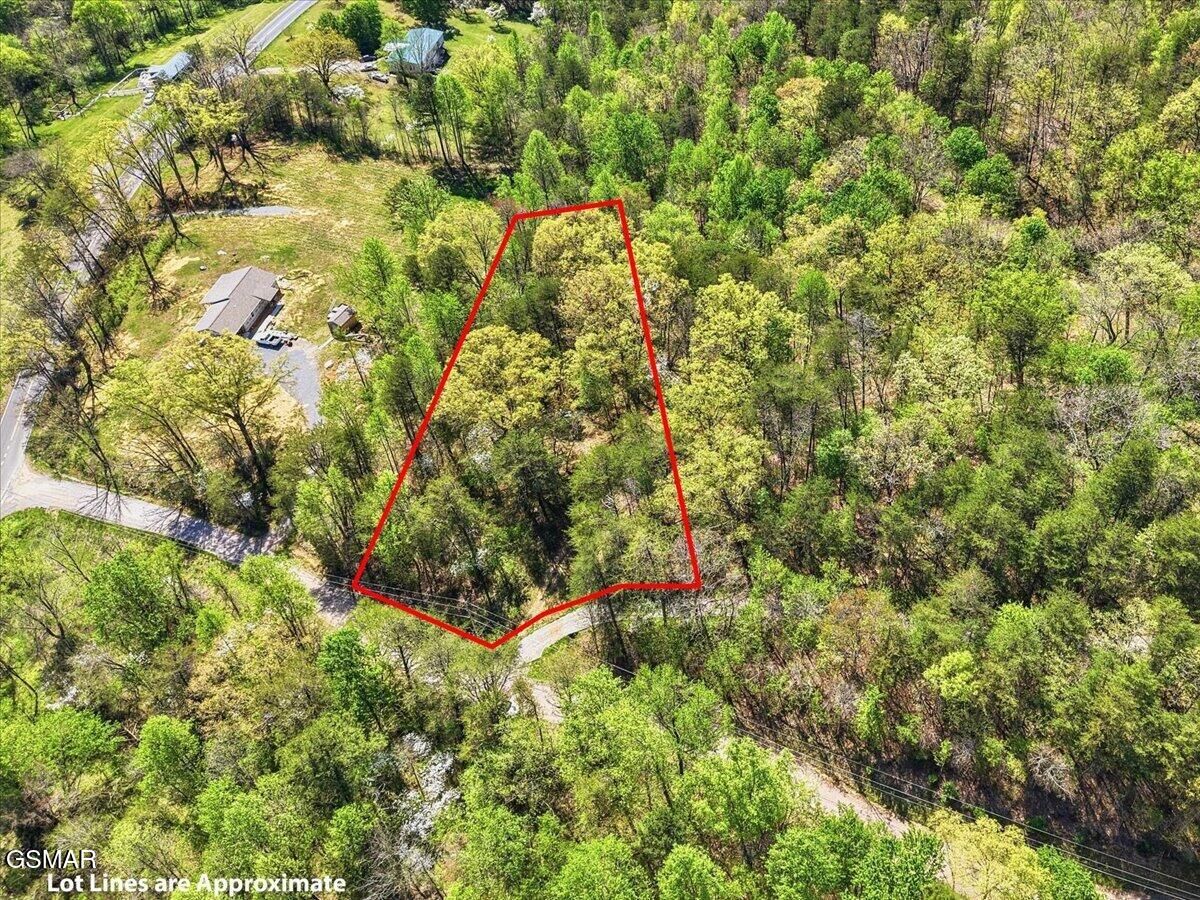 Property Photo:  0 Dark Hollow Road  TN 37722 