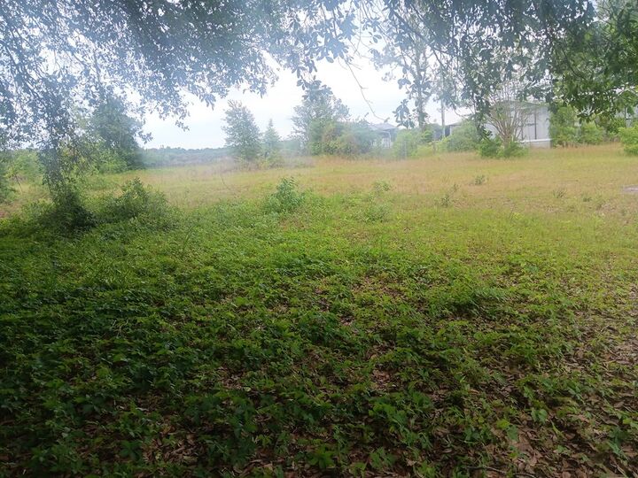 Property Photo: 2901 Worthy Street GA 31075