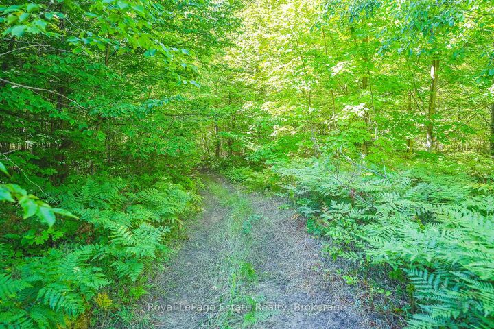 Property Photo:  Lot 2 Sixth Street  ON N0H 2G0 
