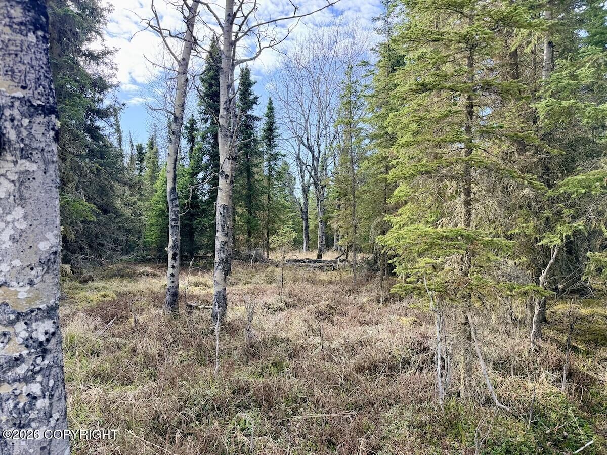 Property Photo: 23855 Herrin Circle AK 99610