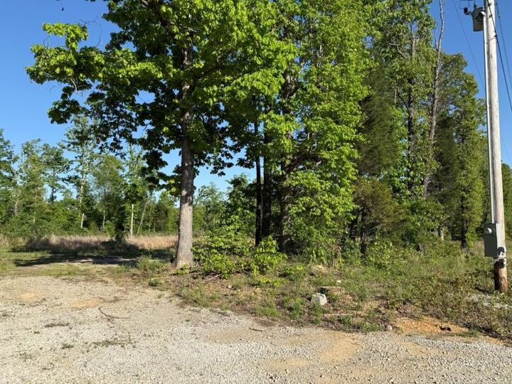 Property Photo:  260 Highway 63  AR 72459 