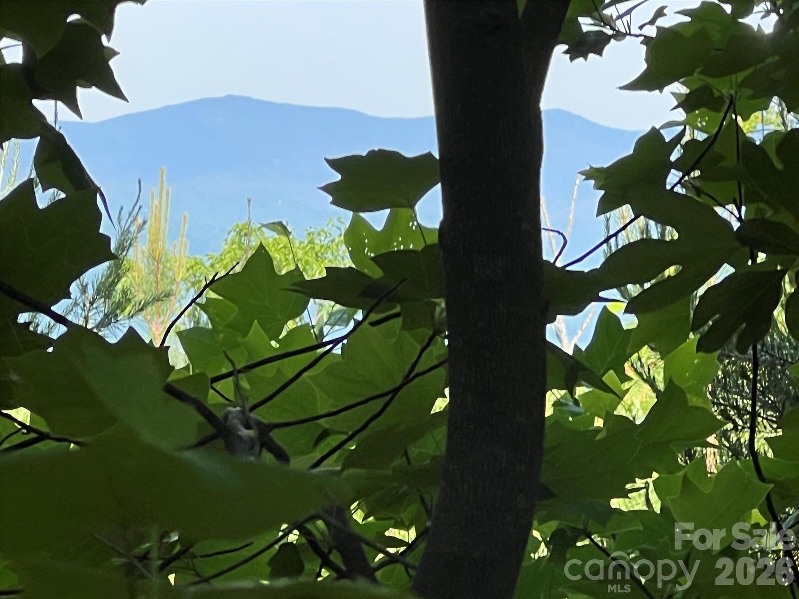 Property Photo: V/L Woodchuck Lane 117 NC 28752