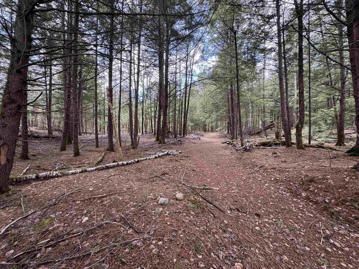 Property Photo: 3039 US Route 3 NH 02385