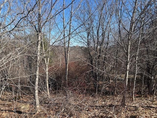 Property Photo:  Lot 4 Alder Drive  NS B0P 1P0 