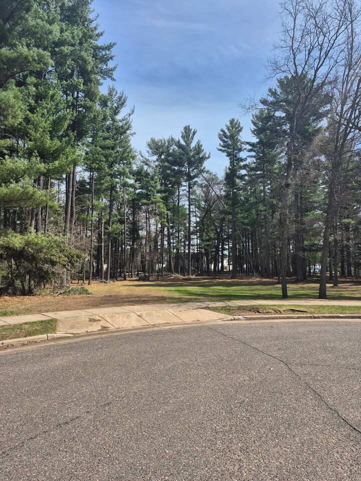 Property Photo:  316 Violet Circle  WI 54840 