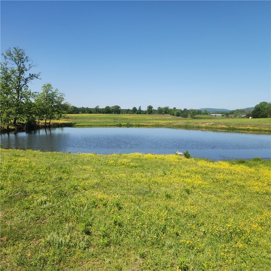 Property Photo:  933 Walnut Road  AR 72843 