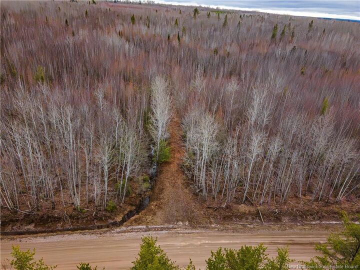 Property Photo:  Lot 1 South Canaan Road  NB E4Z 3R7 