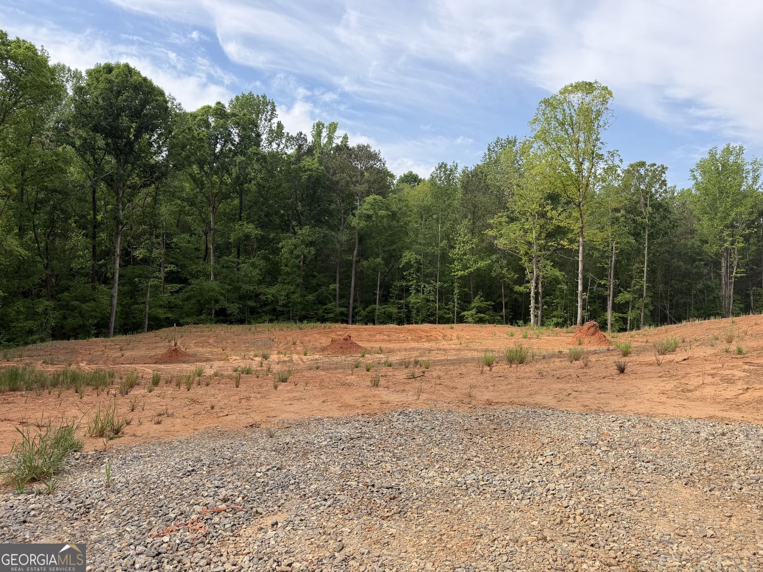 Property Photo:  1476 English Road  GA 31029 