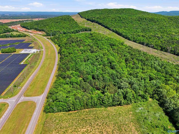 Property Photo:  5.2 Bob Wade Lane  AL 35810 