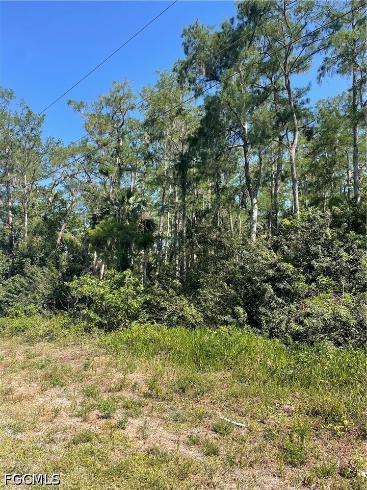 Property Photo:  666 Knapp Street  FL 33974 