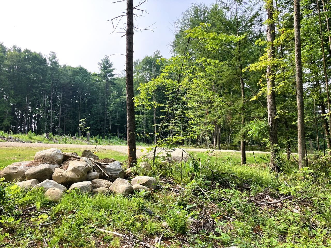 Property Photo:  Lot 5 Fern Lake Road  VT 05733 