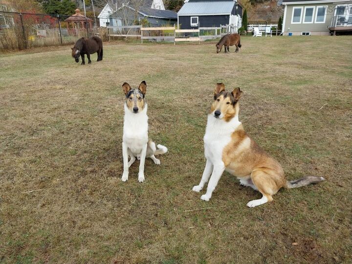 Property Photo:  8622 Highway 209  NS B0M 1S0 