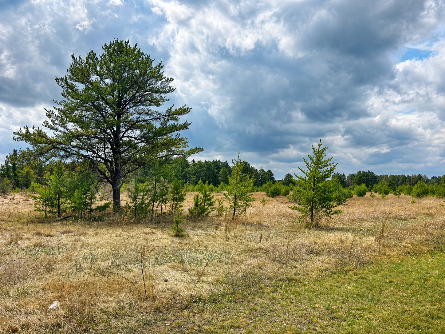 Property Photo:  Tbd 8th Street W  MN 56470 