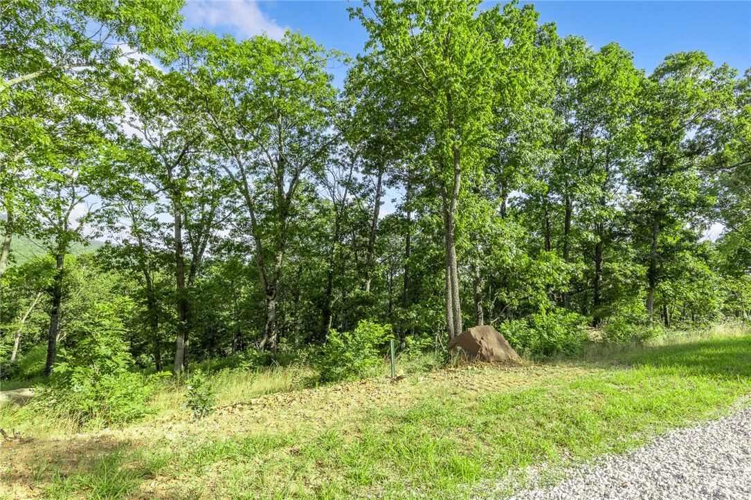 Property Photo:  Lot 85 Restore Ridge  AR 72601 