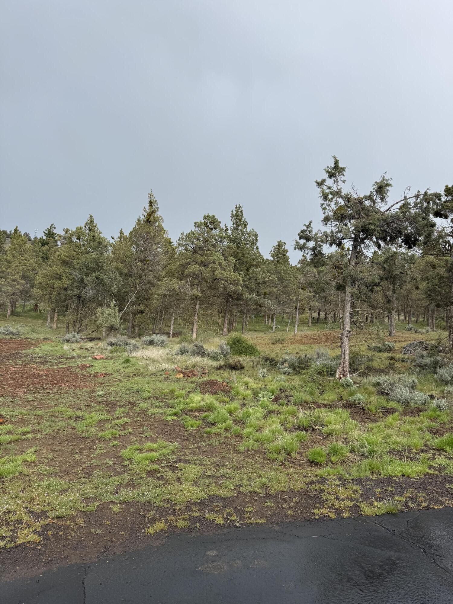 Property Photo:  1129 Vine Maple Drive  OR 97601 