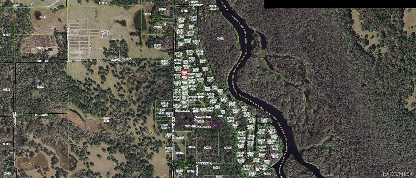 Property Photo:  384 N Staff Point  FL 34450 