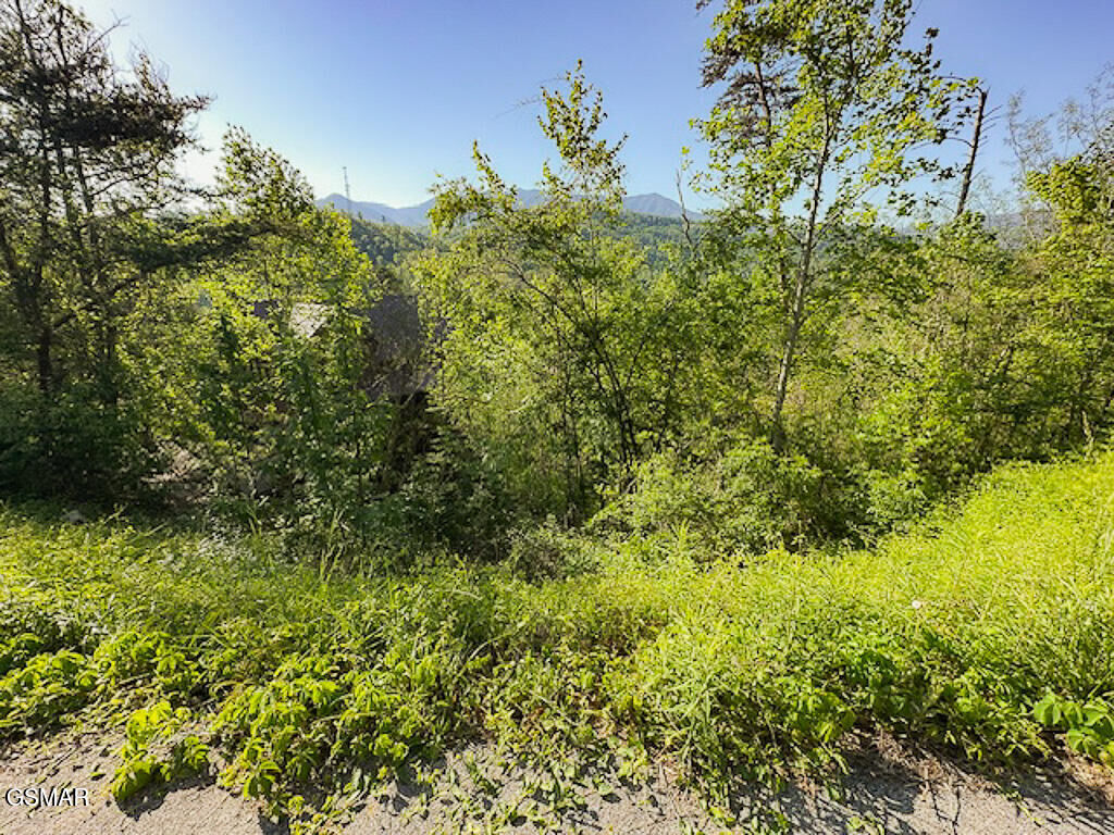 Property Photo:  Lot 11 W Pinnacle Drive  TN 37738 
