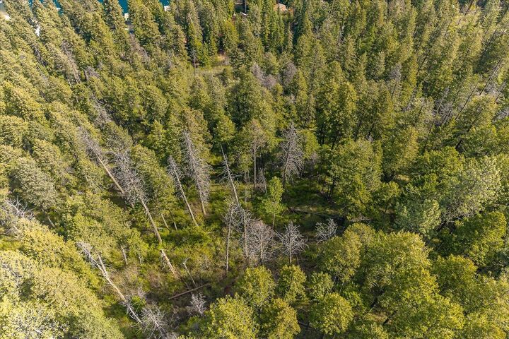 Property Photo:  43989 Silver Beach Rd  WA 99148 