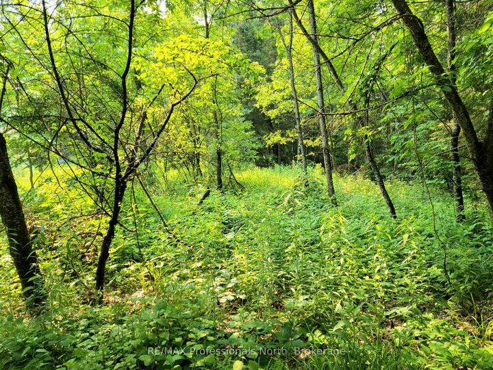35 Mount Vernon Trail 26 — photo 1