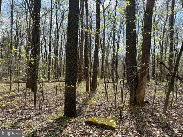 Property Photo:  Lot 13 Timerman Road  PA 16625 