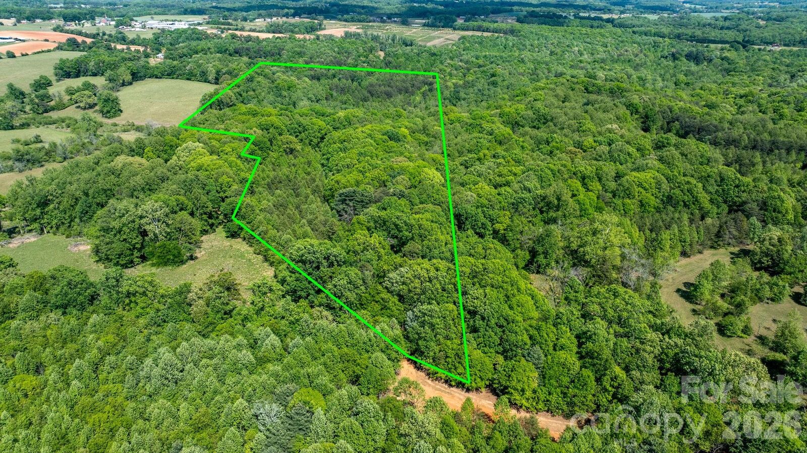 Property Photo: 256 Long Leaf Pine Drive NC 28636