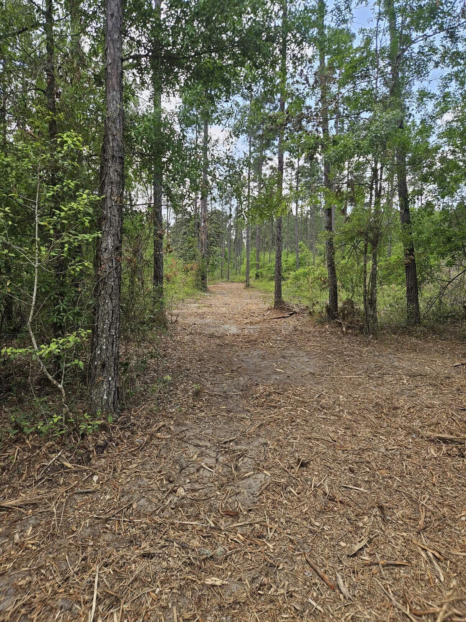 Property Photo:  Lot 2 Rocky Creek Road  FL 32448 