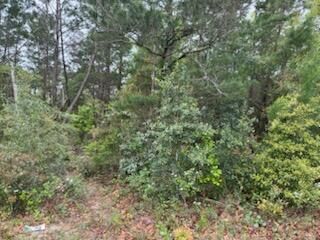 Property Photo:  7117 Snug Waters Road  FL 32566 