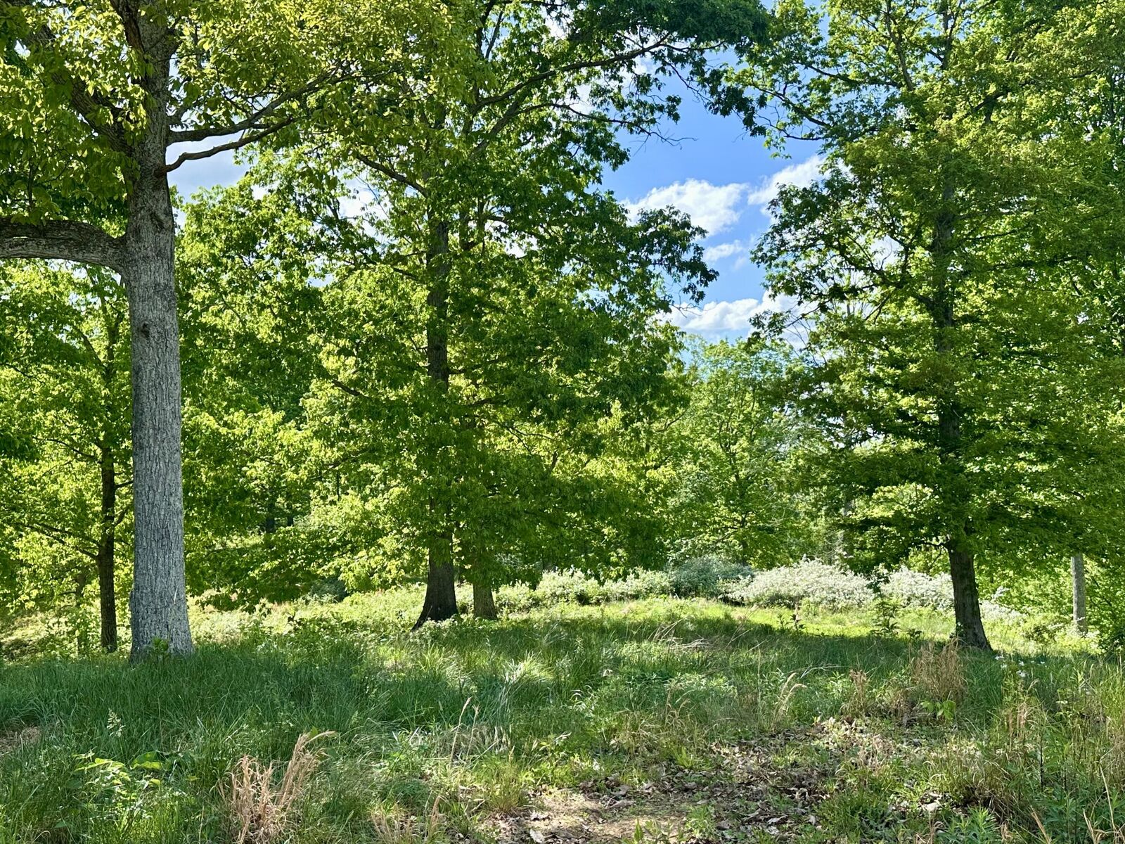 Property Photo:  119 Hawk Tract 23  KY 40741 