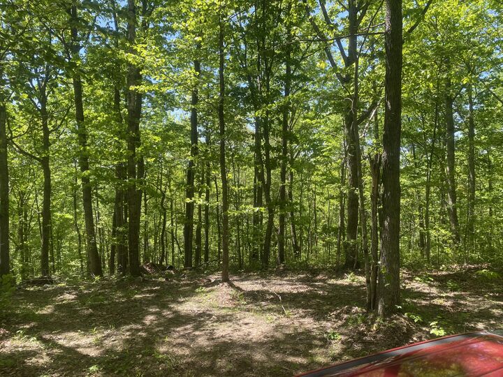 Property Photo:  532 Rogers Lane  KY 40447 