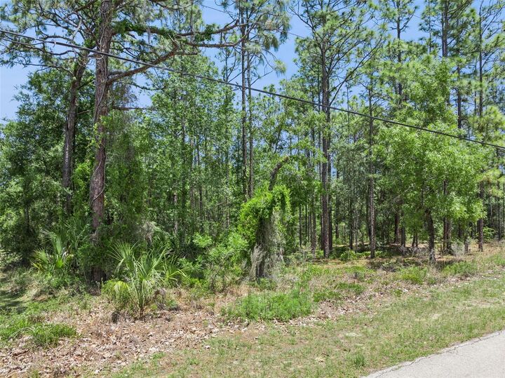 Property Photo:  1797 W Union Street  FL 34442 