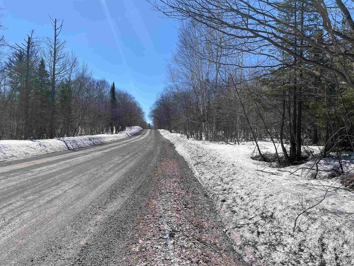 Property Photo:  24220 Woodland Road  MI 49913 