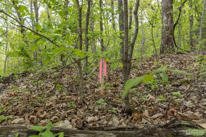 Property Photo:  0 Whittaker Road  MO 63036 