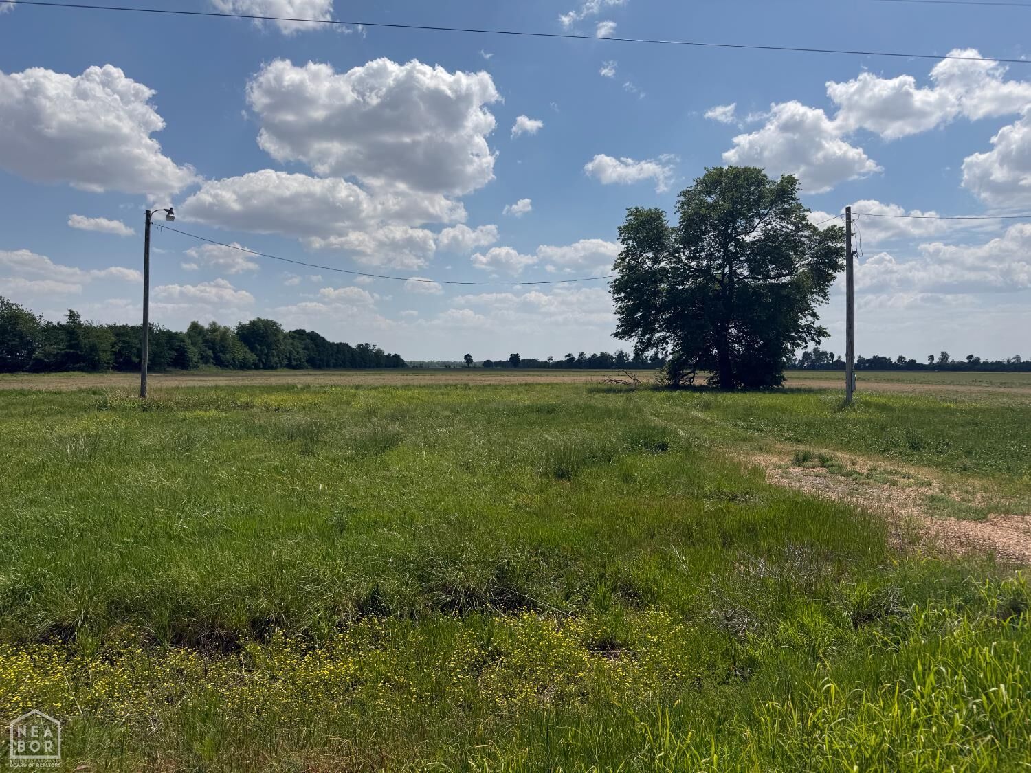 Property Photo:  32474 North Rd  AR 72365 