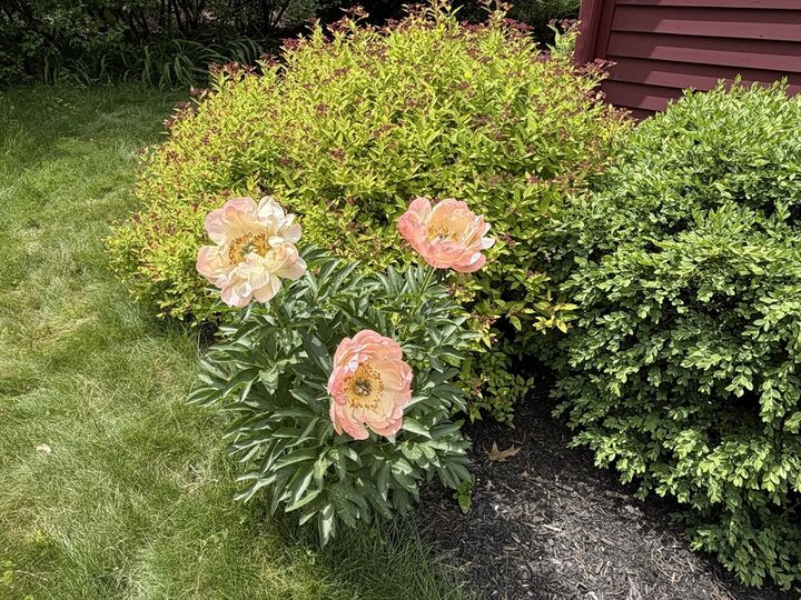 Property Photo:  2 Baron Way  MA 01460 