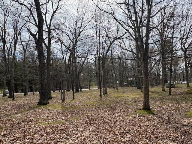 Property Photo:  Lot 13 2nd Court  WI 53952 