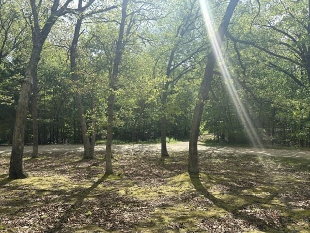 Property Photo:  Lot 13 2nd Court  WI 53952 