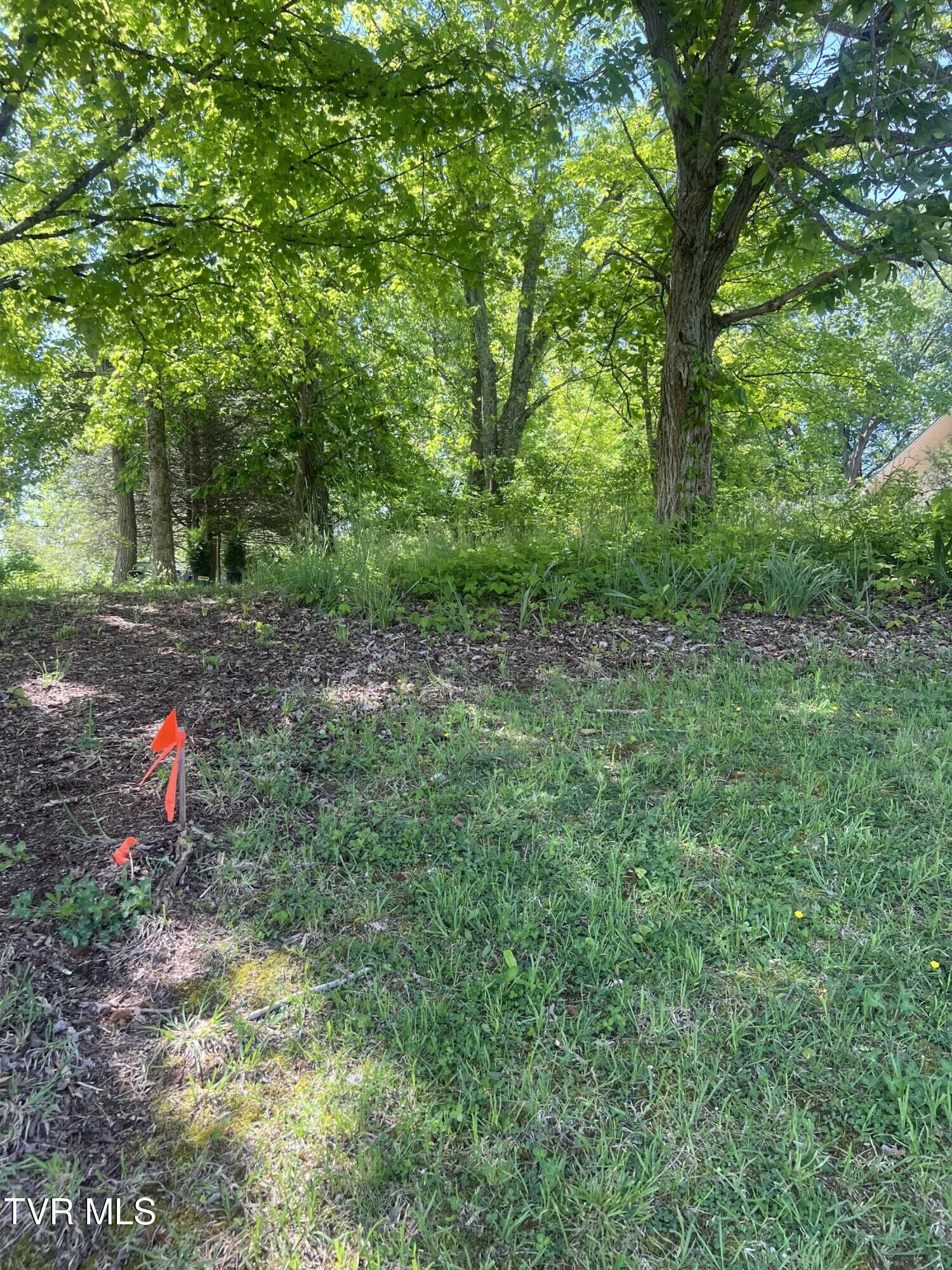 Property Photo:  00 East Main Street  TN 37659 