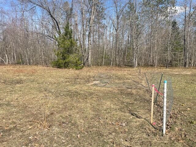 Property Photo:  2.1 Acres Club Road  MI 49749 