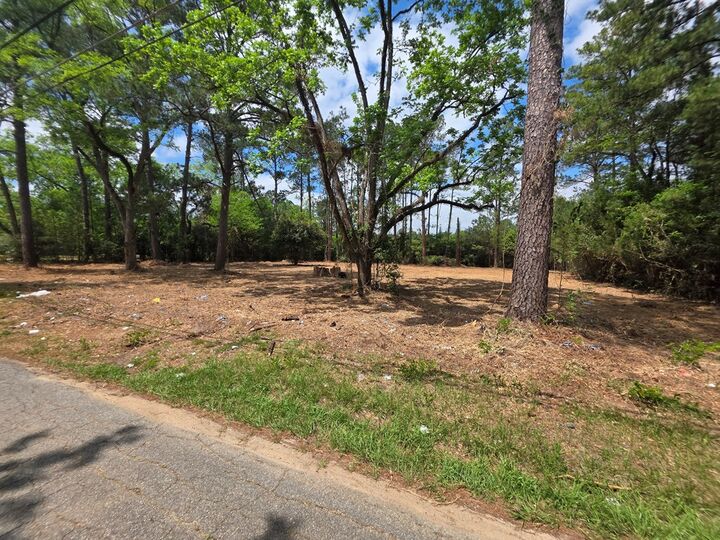 Property Photo:  655 NE 12th Avenue  GA 39828 