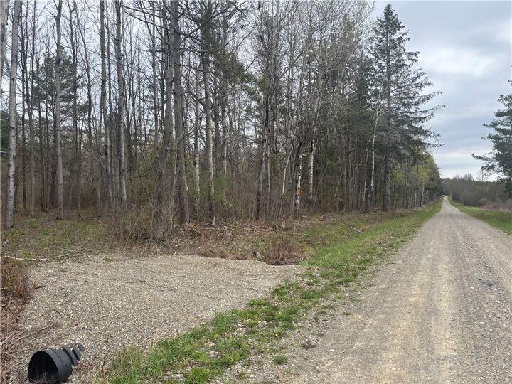 Property Photo:  Vl Wagner Road  NY 14437 