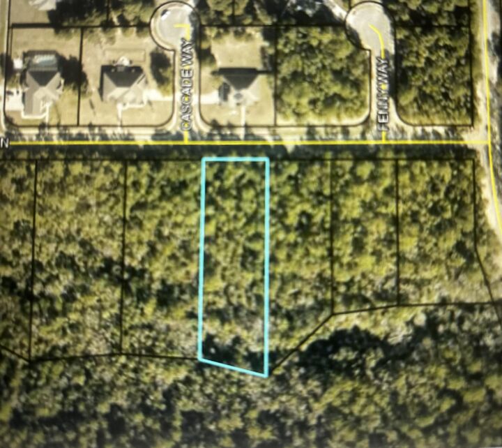 Property Photo:  2462 Hammock Lane  FL 32536 