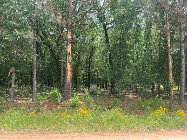 Property Photo: 0 Oak Bend TX 77328