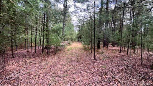 Property Photo: Lot 12 White Road NY 12737