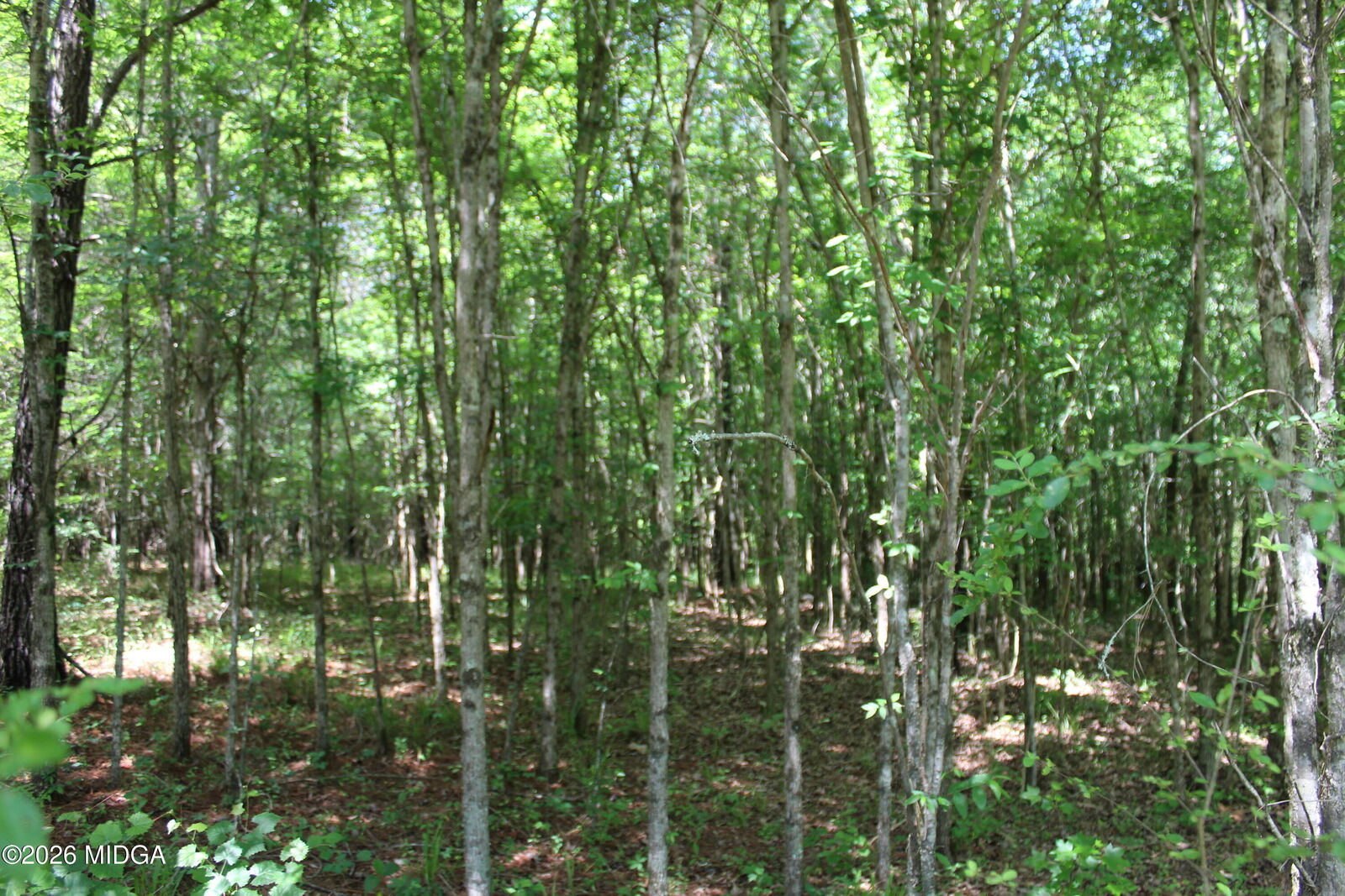 Property Photo:  Lot 5 Jenkins Road  GA 31029 