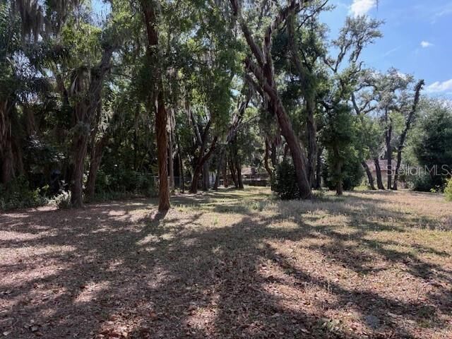 Property Photo:  112 N Lockmoor Avenue  FL 33617 