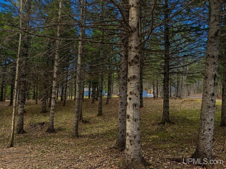 Property Photo:  43763 Superior Road  MI 49931 