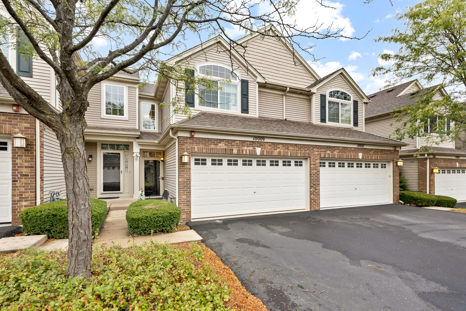 Property Photo:  10009 Cummings Street  IL 60142 